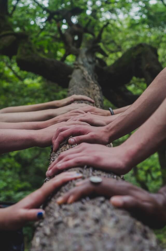 Photo of self-pay patients connected to the leading network created for them